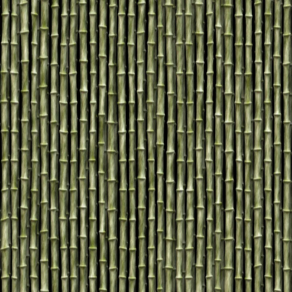 Bambu. — Stok fotoğraf