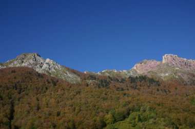 Pyrenees