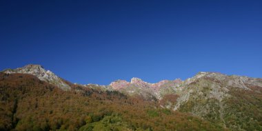 Pyrenees