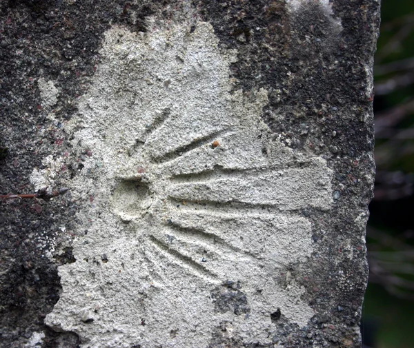 Waymarking in form of shell scratched into concrete — Stock Photo, Image
