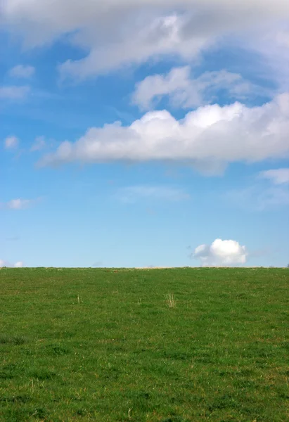 stock image Green Field Blue Sky