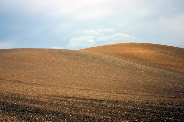 stock image Navarrra