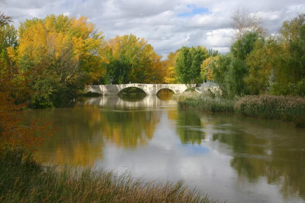 stock image River Palencia 3