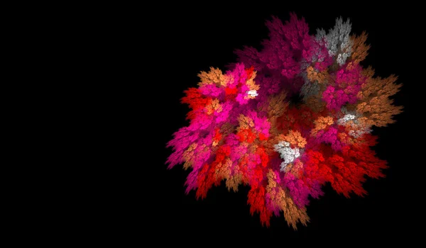 Blütenexplosion — Stockfoto