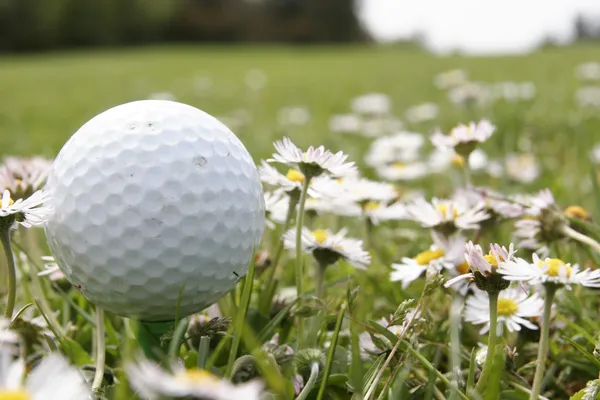 Golf ball in flowers — Stock Photo, Image