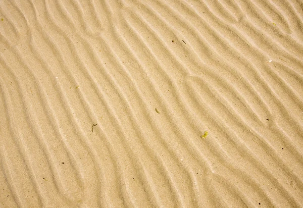 stock image Sand texture