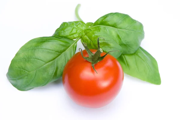 Tomato and Basil — Stock Photo, Image