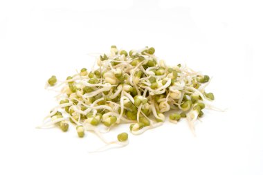 Fresh Bean Sprouts clipart