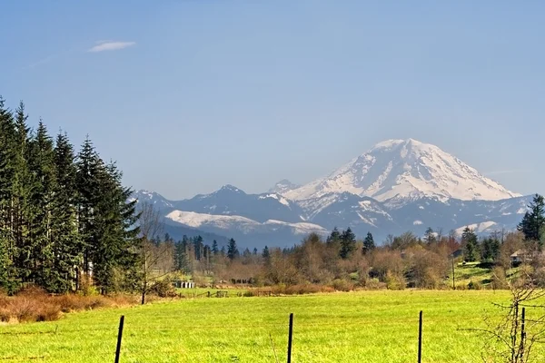 stock image Mt. Rainier viewed from across a field