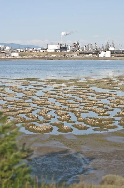 stock image Oil Refinery