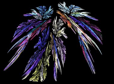 Bird Feathers Abstract Fractal clipart