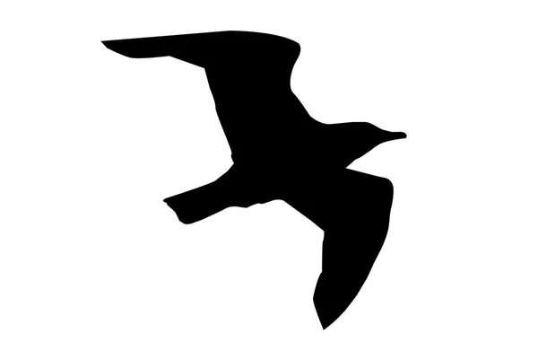 Vogelsilhouet Stockafbeelding