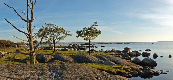 Swedish coast — Stock Photo, Image