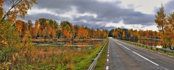 Autumn'un yol — Stok fotoğraf