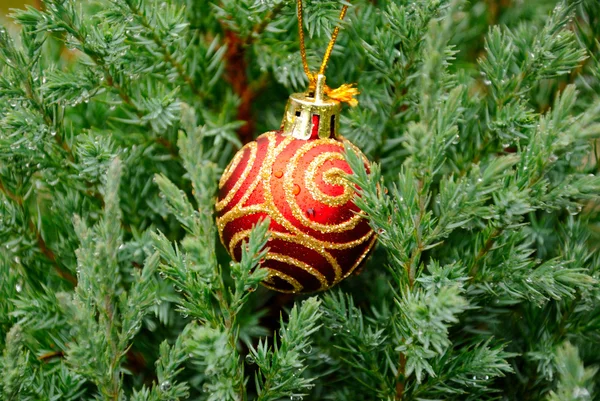 Zahradní strom s Vánoční dekorace — Stock fotografie