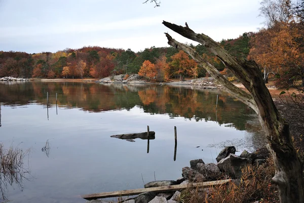 秋の色の湾 — ストック写真
