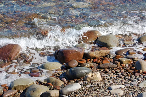 stock image Sea stones