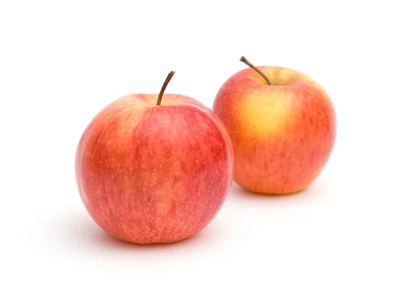 Dos manzanas rojo-amarillas — Foto de Stock
