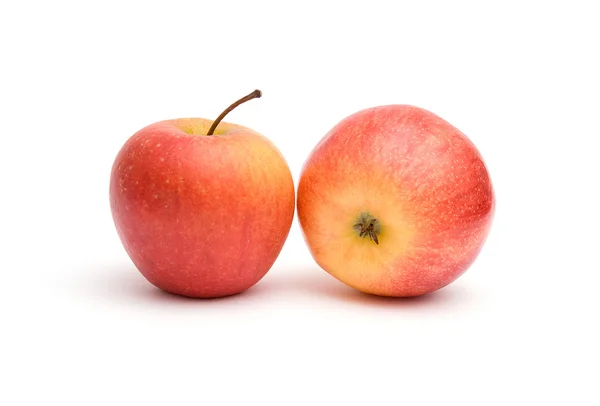 Two red-yellow apples — Stock Photo, Image