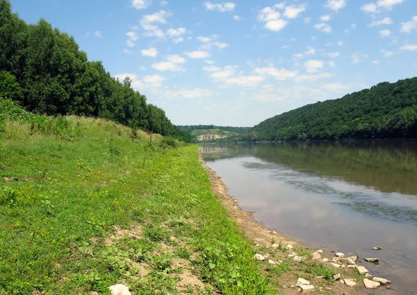 Łąka nad rzeką — Zdjęcie stockowe