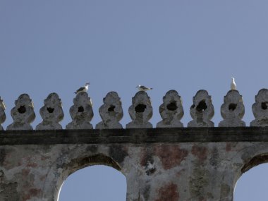 Procida