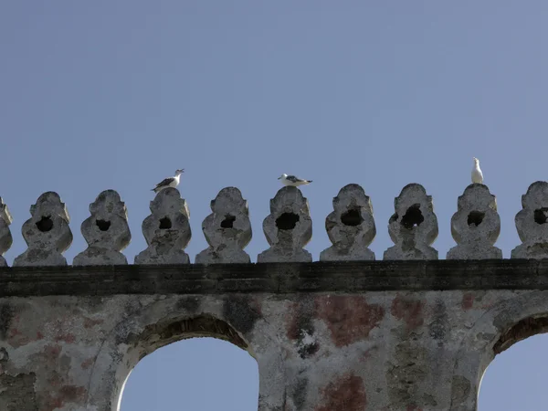 stock image Procida