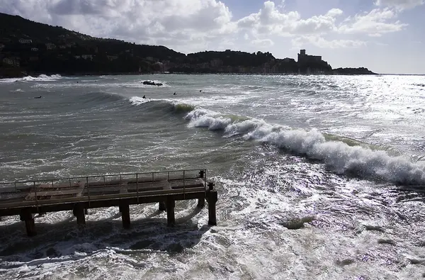 Lerici