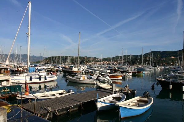 stock image Lerici