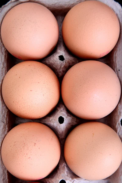 Yüksek yumurta görünüm — Stok fotoğraf