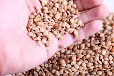 Texture of lentils clipart