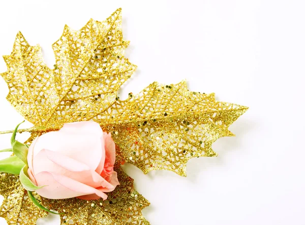 로즈와 잎 — 스톡 사진