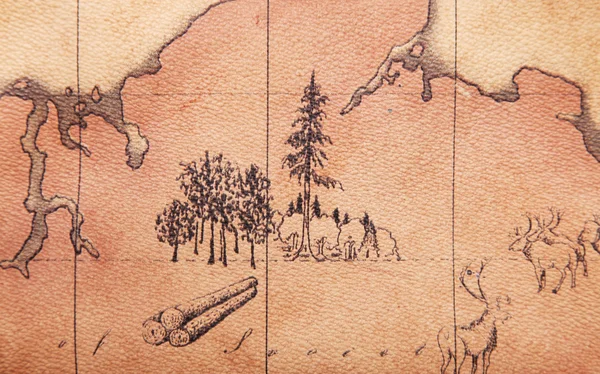 Старая карта — стоковое фото
