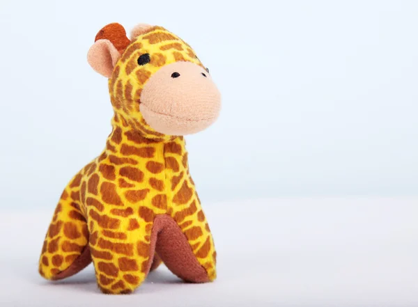 Giraffa — Foto Stock