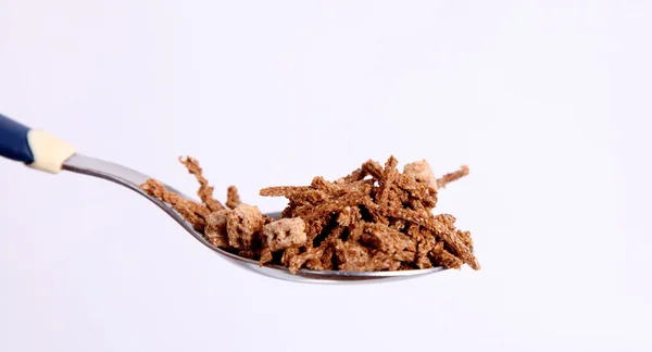 Cereali di fibre — Foto Stock