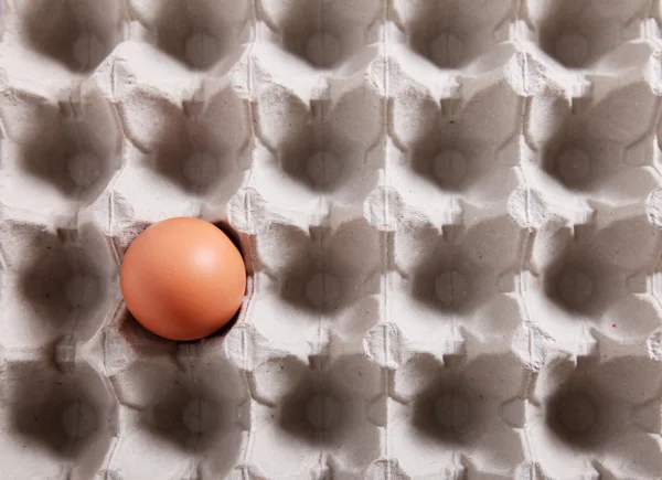 Bir ambalaj içinde yumurta — Stok fotoğraf