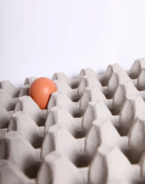 Ei in einer Verpackung — Stockfoto