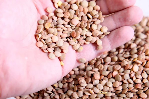 Texture of lentils — Stock Photo, Image