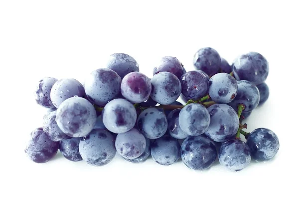 Uvas frescas de concordia — Foto de Stock