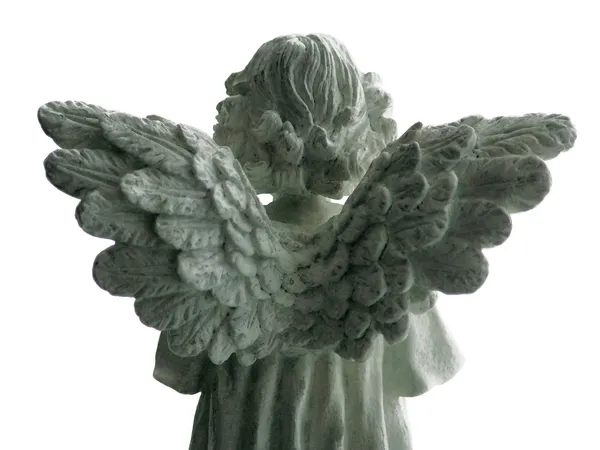 stock image Angel Wings