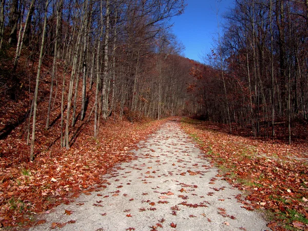Sonbahar huzurlu yolu — Stok fotoğraf