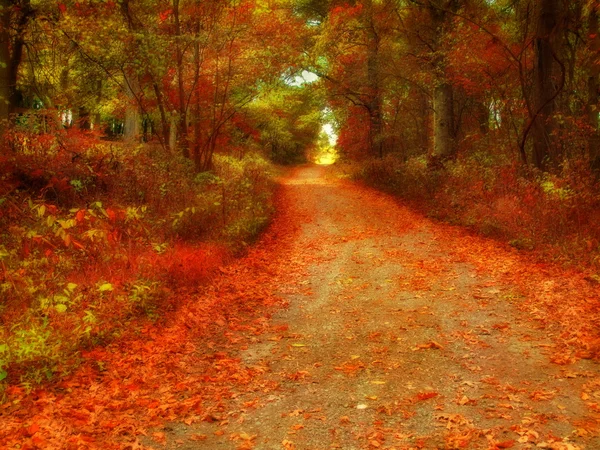 Route d'automne colorée — Photo