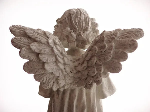 Angel Wings — Stock Photo, Image