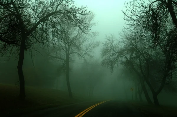 Misty Moody Autumn Morning — Stock Photo, Image