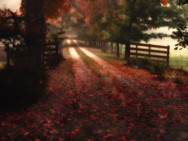 Estrada de outono vermelho sonhador — Fotografia de Stock