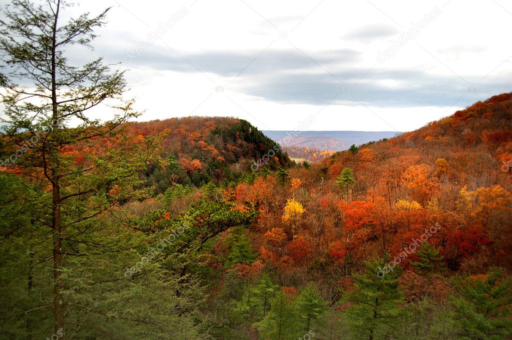 Autumn Hills of West Virginia