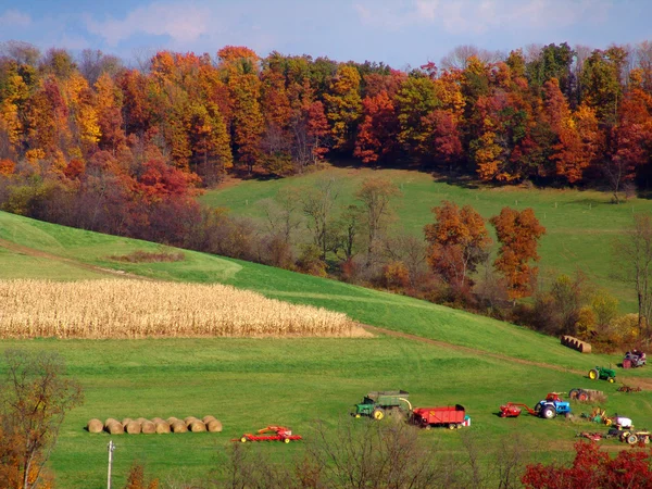 ペンシルバニア農地 — ストック写真