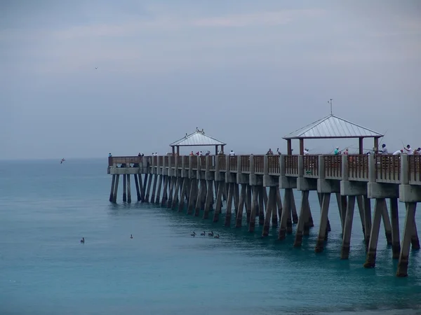 Florida Pier — Stok fotoğraf