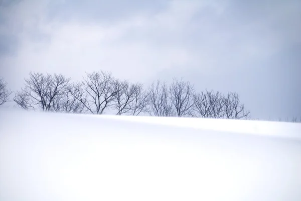 Cobertor de neve — Fotografia de Stock