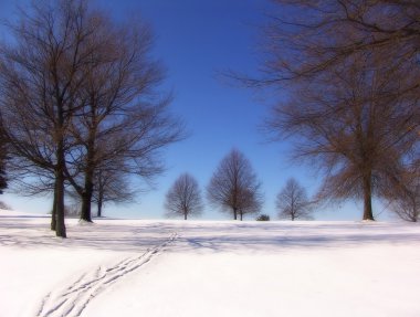 Winter Path clipart