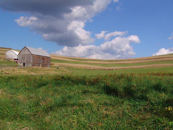 Pennsylvania Farm